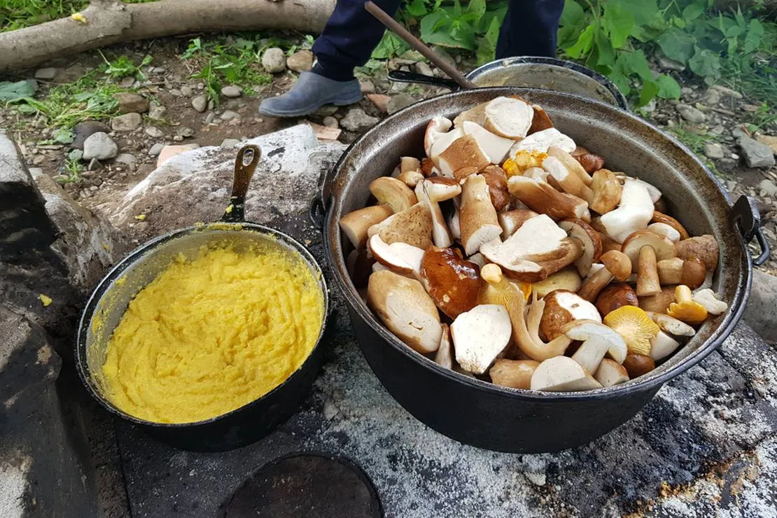 camping-dorina-village-lepsa-tulnici-230j3