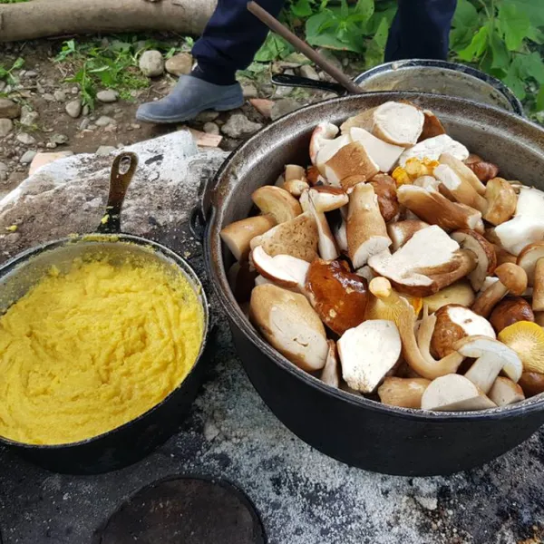 camping-dorina-village-lepsa-tulnici-230j3