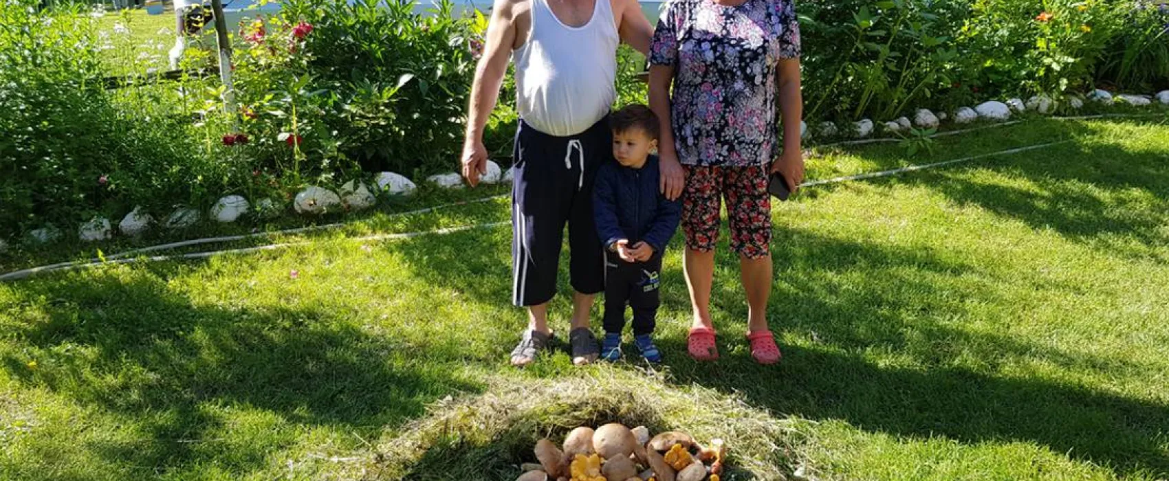 Camping Dorina