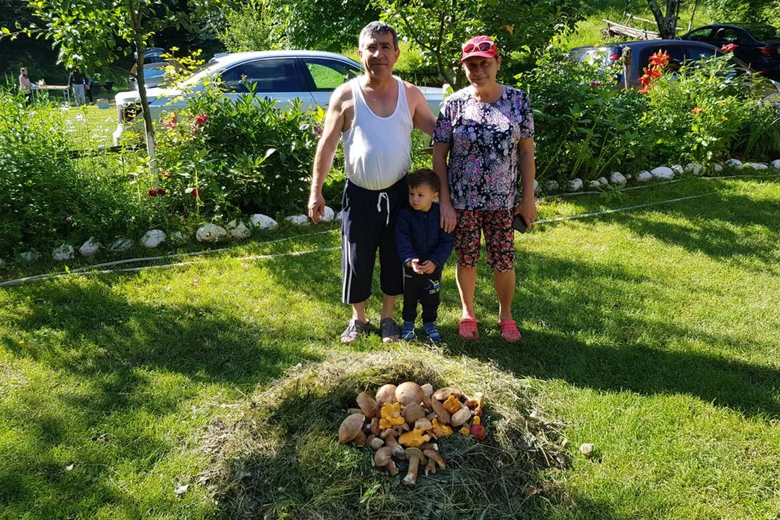 camping-dorina-village-lepsa-tulnici-5ap6q