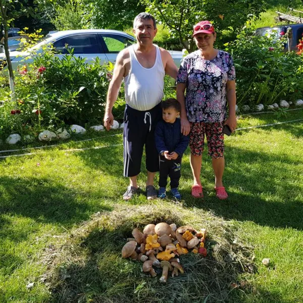 camping-dorina-village-lepsa-tulnici-5ap6q