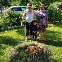 camping-dorina-village-lepsa-tulnici-5ap6q