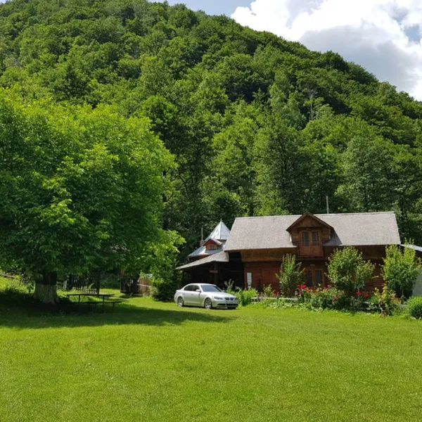 camping-dorina-village-lepsa-tulnici-niyed