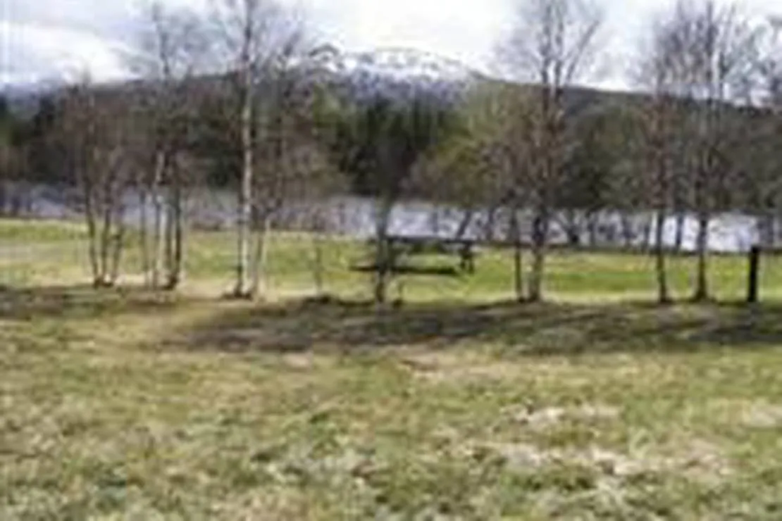 langodden-gard-alvdal-nmumx