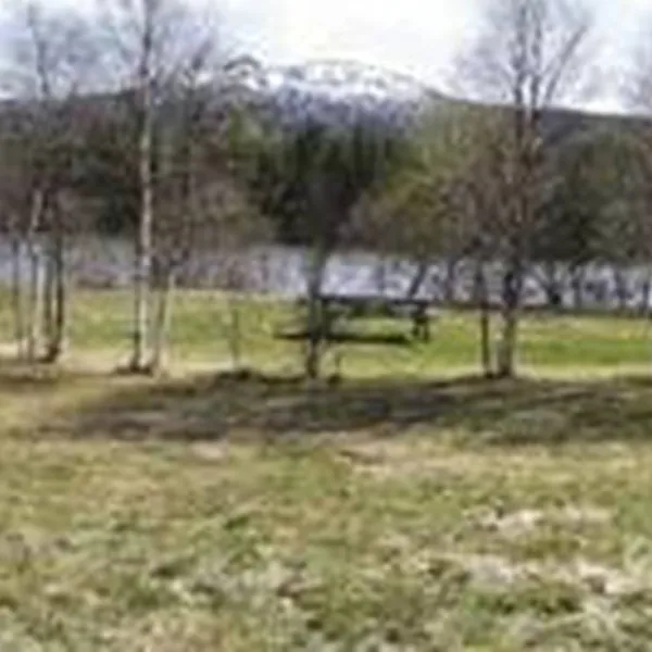 langodden-gard-alvdal-nmumx