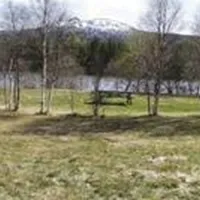 langodden-gard-alvdal-nmumx