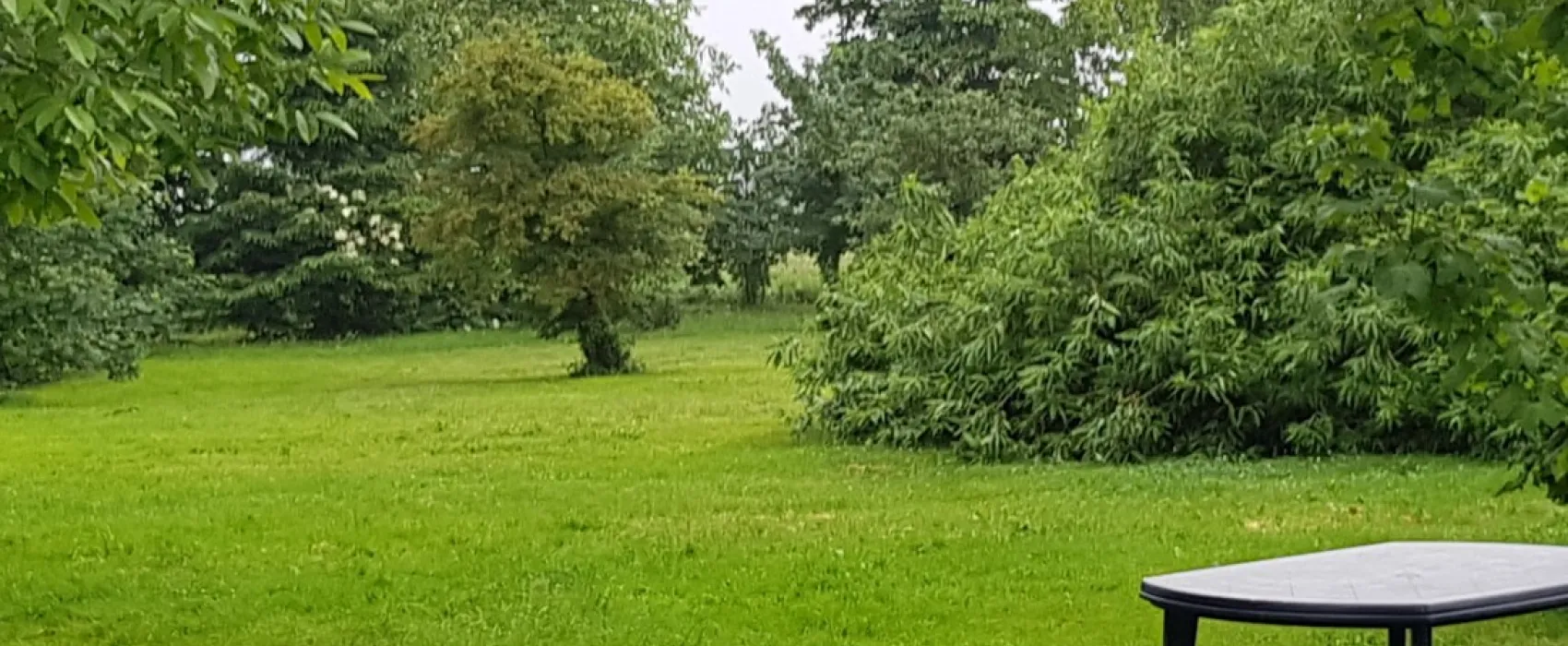 Op Eigen Weg