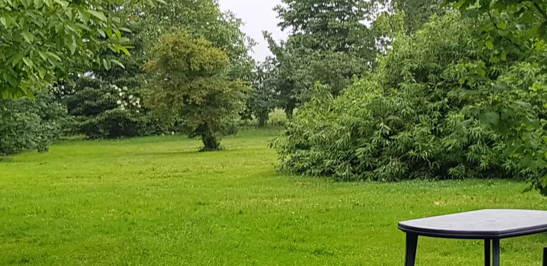 op-eigen-weg-nij-beets-lqsft
