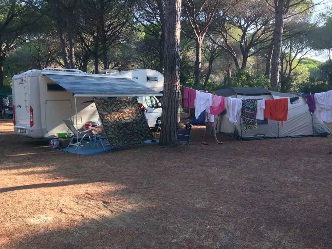 cieloverde-troghi-tvz0g