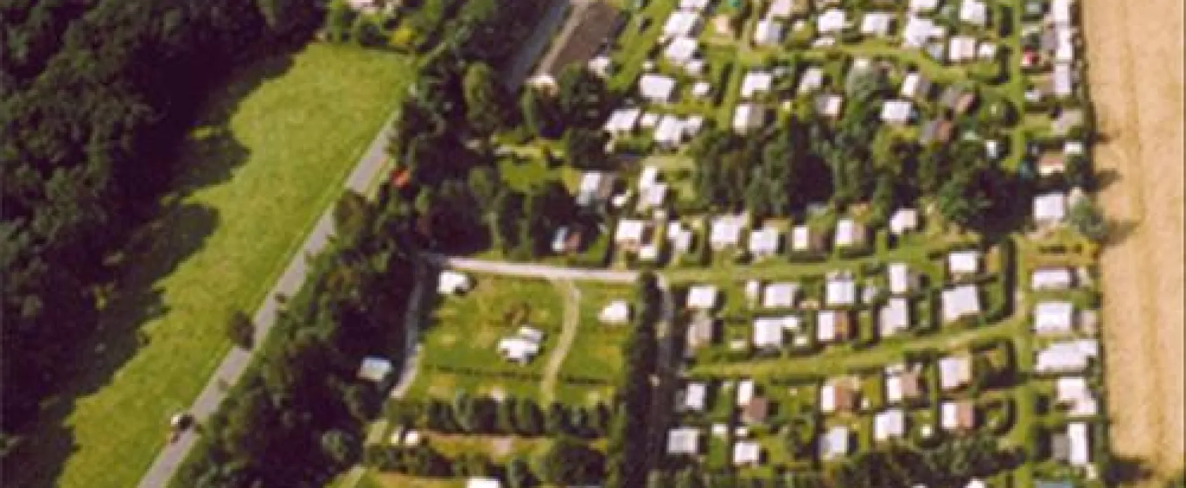 Tannenwiese
