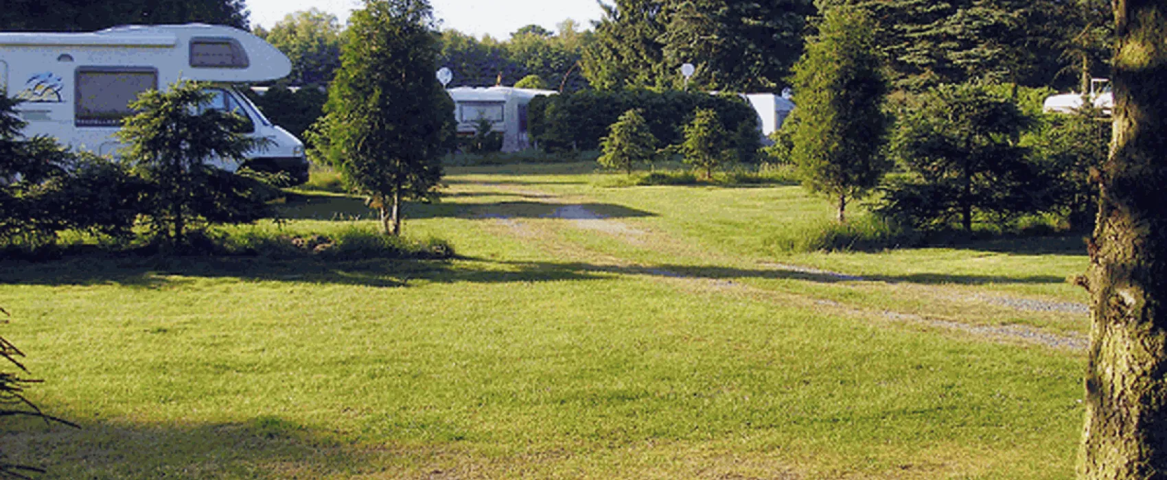 Tannenwiese