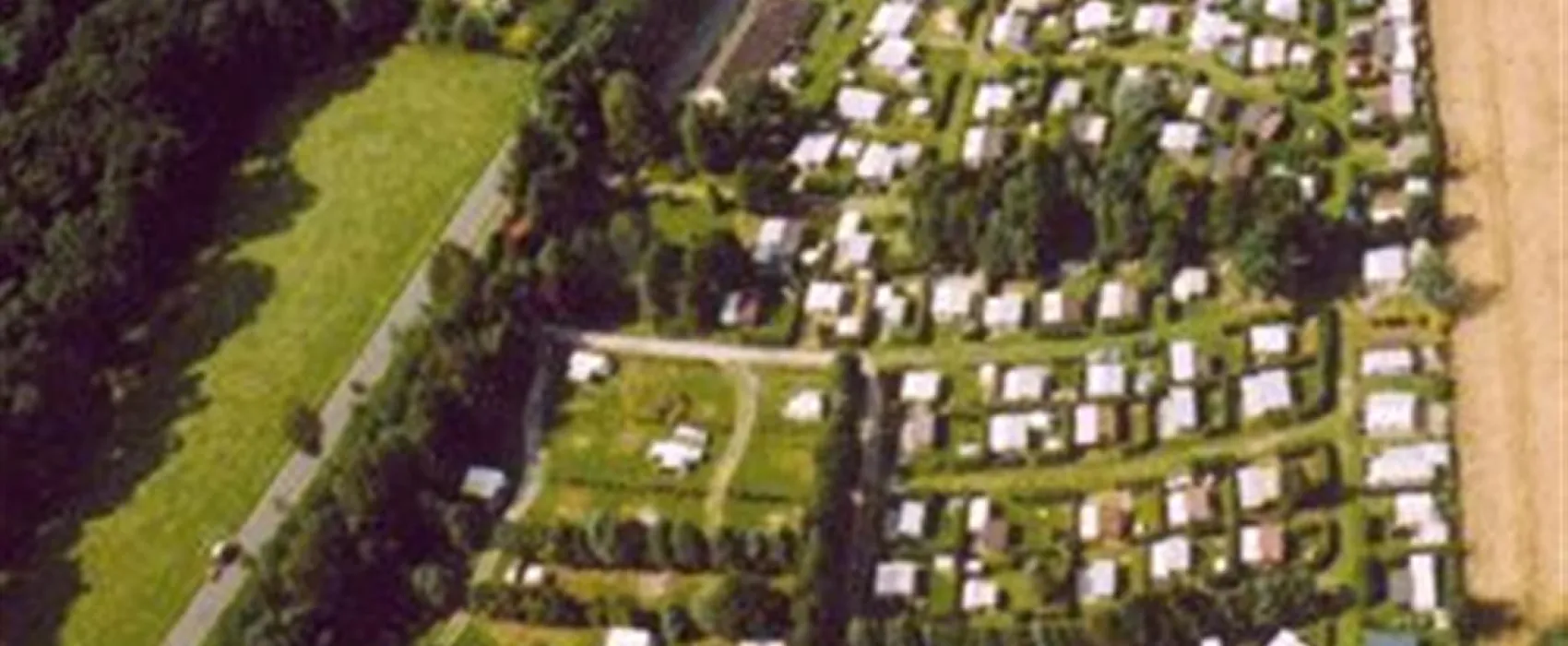 Tannenwiese