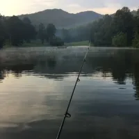 trackrock-campground-cabins-blairsville-gnqvs