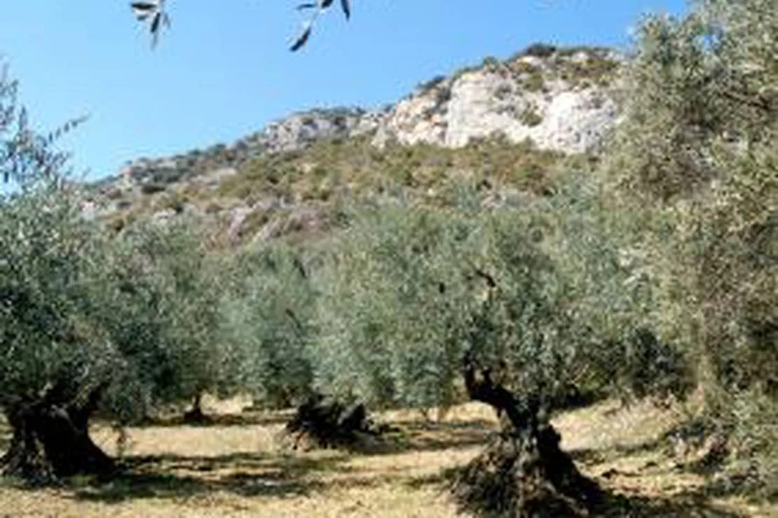 camping-la-vandelle-volx-iryyd