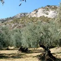 camping-la-vandelle-volx-iryyd