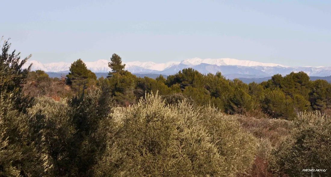 camping-la-vandelle-volx-nq320