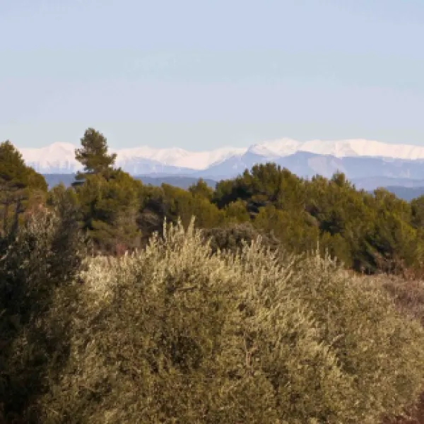 camping-la-vandelle-volx-nq320