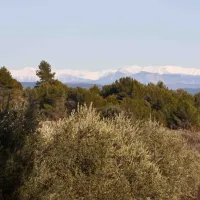 camping-la-vandelle-volx-nq320