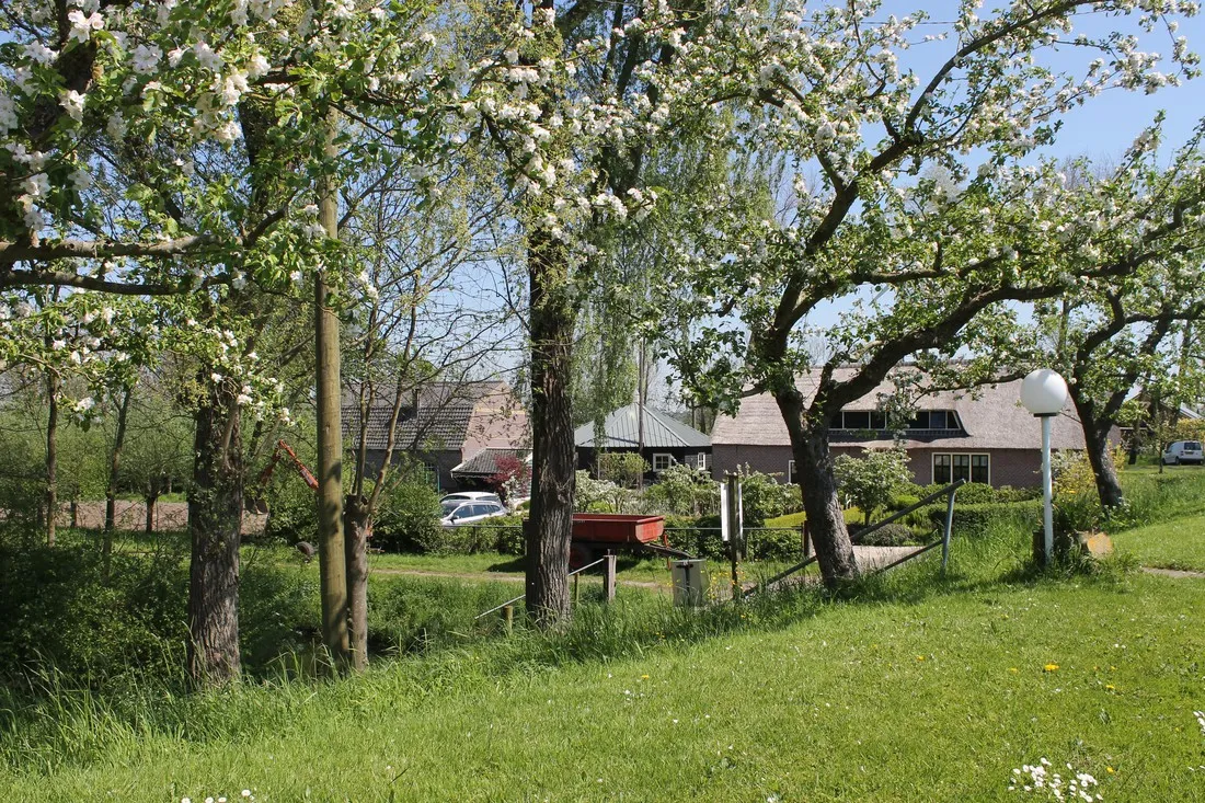 campingboerderij-de-mulderije-oudewater-iujsn