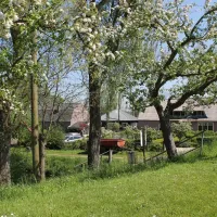 campingboerderij-de-mulderije-oudewater-iujsn