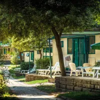 family-park-i-pini-fiano-romano-jlb8j
