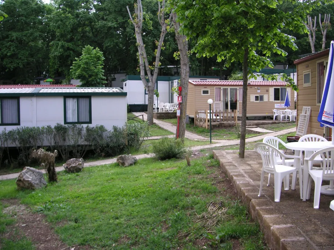 family-park-i-pini-fiano-romano-wuimi