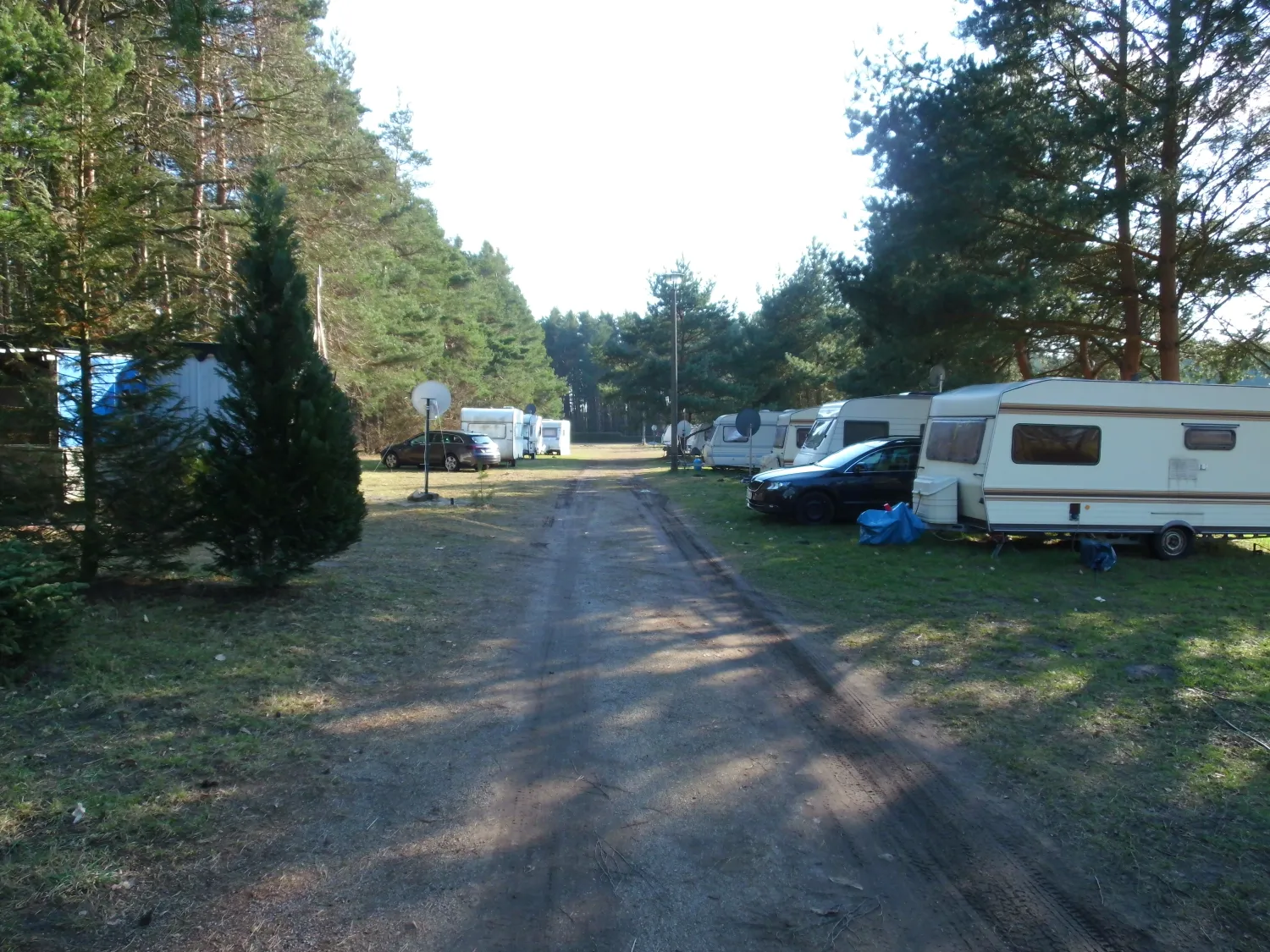 waldcamping-lausitzer-seenland-schwarzbach-vomif
