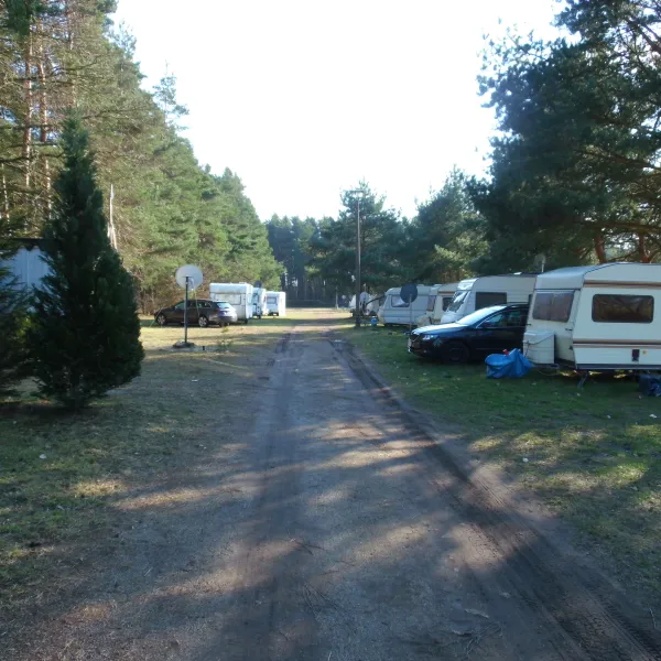 waldcamping-lausitzer-seenland-schwarzbach-vomif