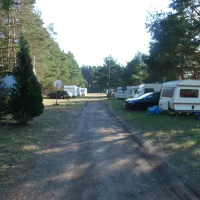 Waldcamping Lausitzer Seenland
