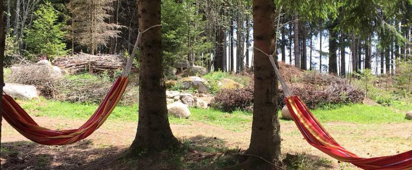 Lynx Camp