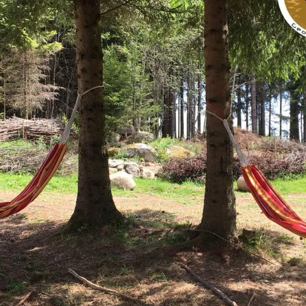 lynx-camp-schonwald-im-schwarzwald-9gkpg