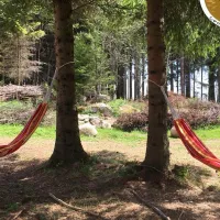 lynx-camp-schonwald-im-schwarzwald-9gkpg