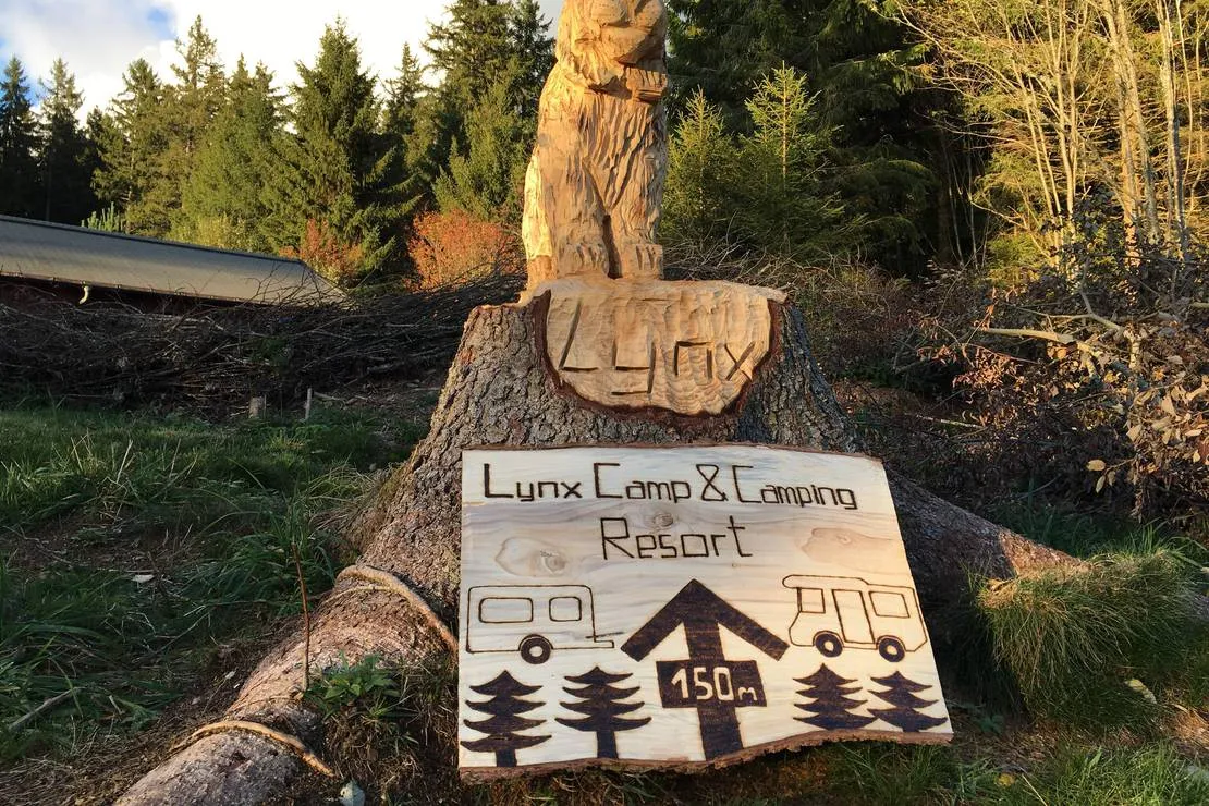 lynx-camp-schonwald-im-schwarzwald-a69mz