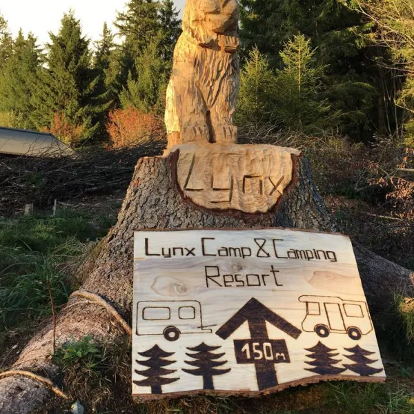 lynx-camp-schonwald-im-schwarzwald-a69mz