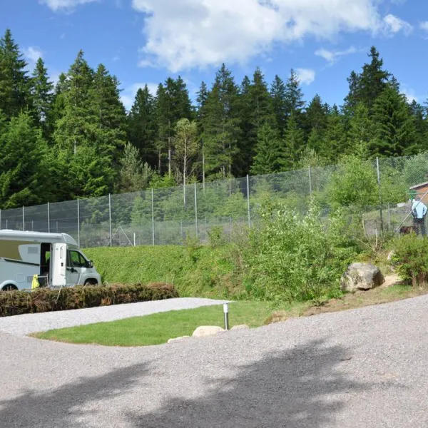 lynx-camp-schonwald-im-schwarzwald-bwnt4