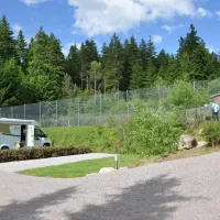 lynx-camp-schonwald-im-schwarzwald-bwnt4