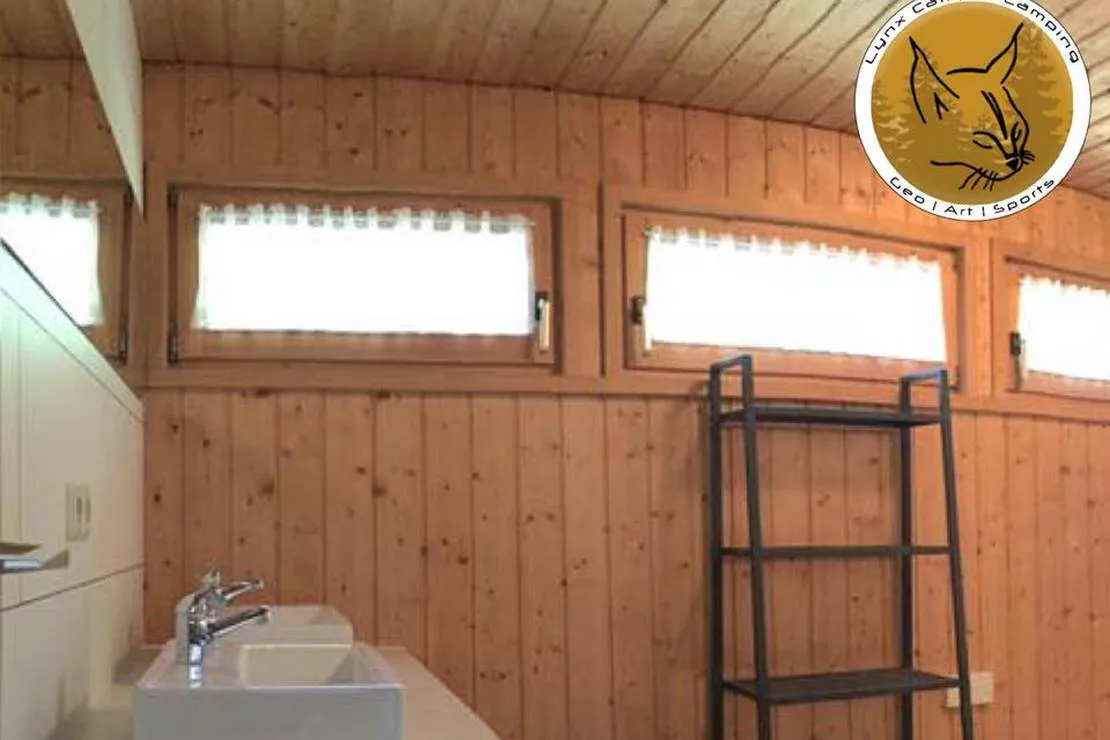 lynx-camp-schonwald-im-schwarzwald-hgpy8