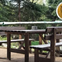 lynx-camp-schonwald-im-schwarzwald-l9yja