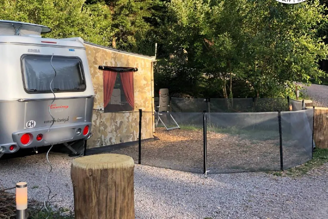 lynx-camp-schonwald-im-schwarzwald-lk0au