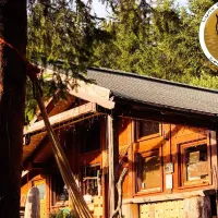 Lynx Camp