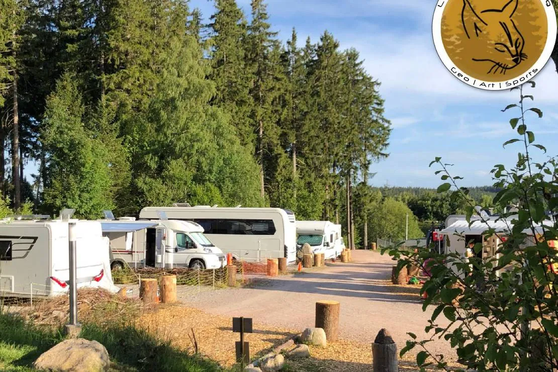 lynx-camp-schonwald-im-schwarzwald-ojtlw