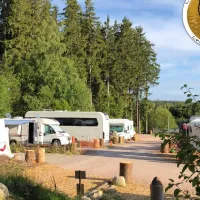 lynx-camp-schonwald-im-schwarzwald-ojtlw