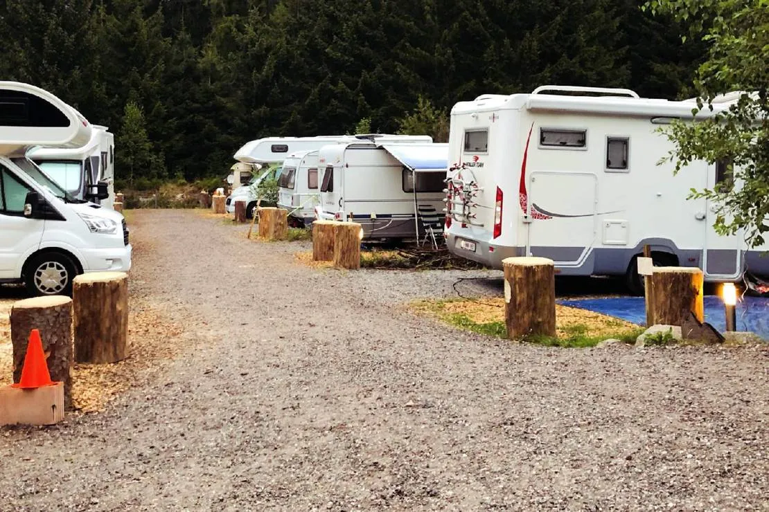 lynx-camp-schonwald-im-schwarzwald-u80iy