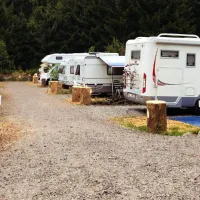 lynx-camp-schonwald-im-schwarzwald-u80iy