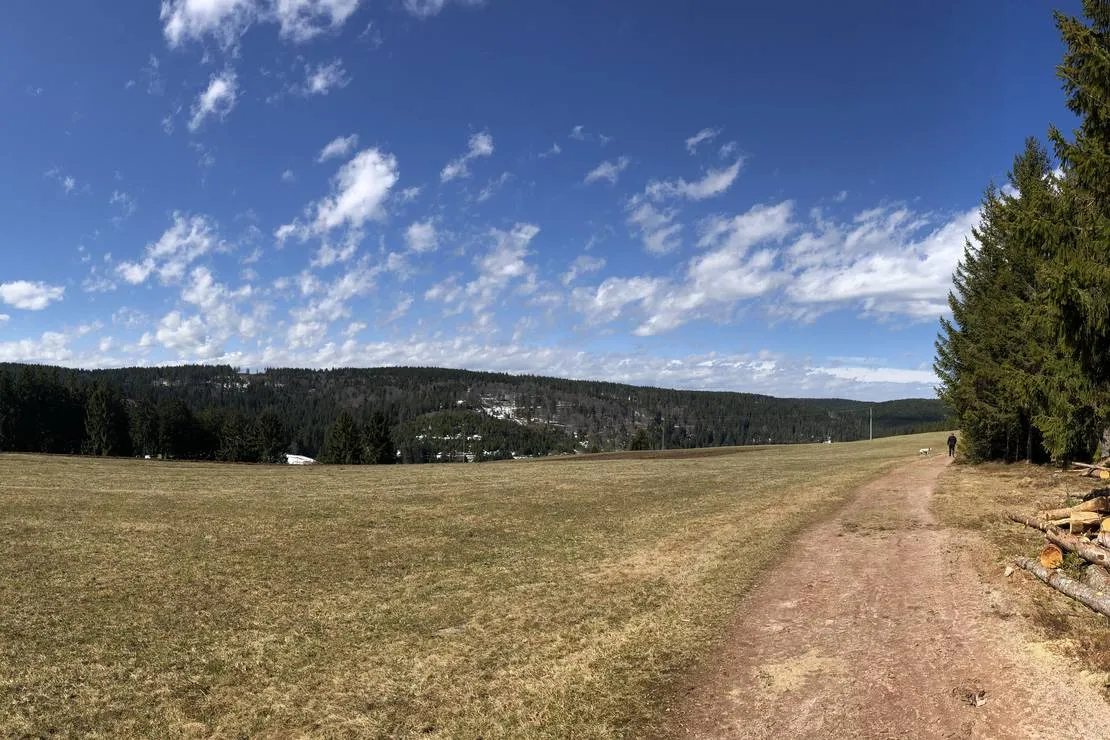lynx-camp-schonwald-im-schwarzwald-utxnx