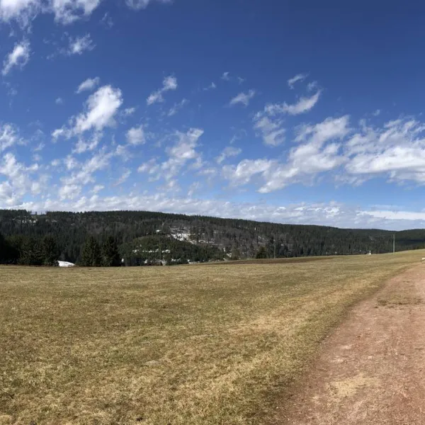 lynx-camp-schonwald-im-schwarzwald-utxnx
