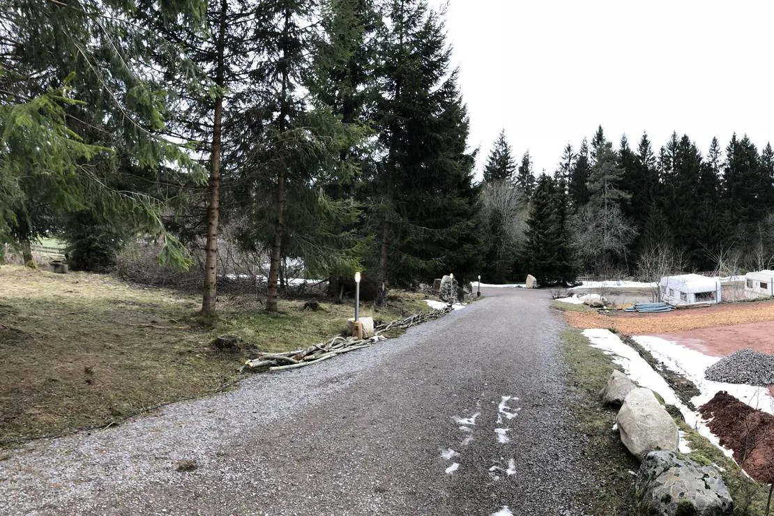 lynx-camp-schonwald-im-schwarzwald-uyj8i