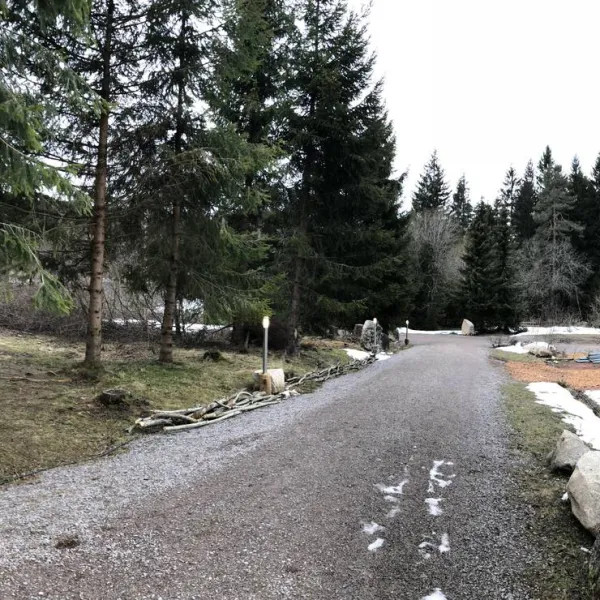 lynx-camp-schonwald-im-schwarzwald-uyj8i