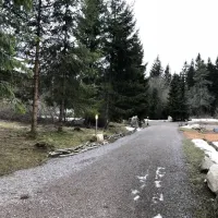 lynx-camp-schonwald-im-schwarzwald-uyj8i