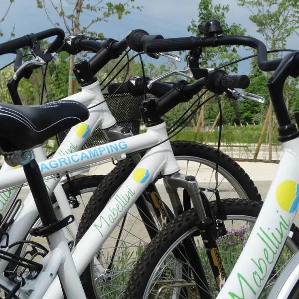 agricamping-mabellini-rivoltella-qtrld
